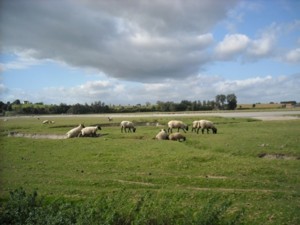 Le G.R. 223 : balcon sur la baie  Le G.R. 223 : balcon sur la baie