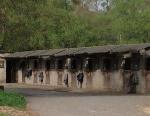 Le haras des dunes