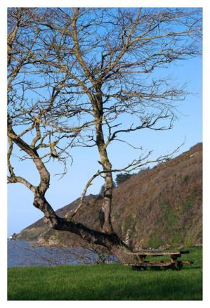 Au sommet de la falaise, le G.R. 223 Au sommet de la falaise, le G.R. 223