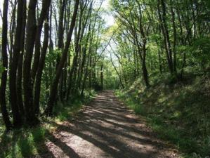 L'ancienne voie de chemin de fer