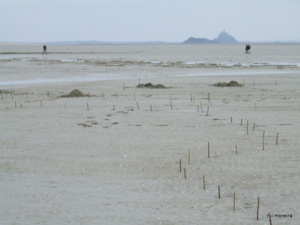 Pêcheries néolithiques Pêcheries néolithiques