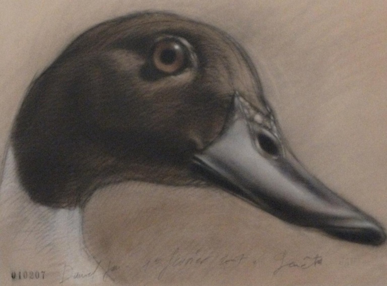 Daniel Jan Daniel Jan