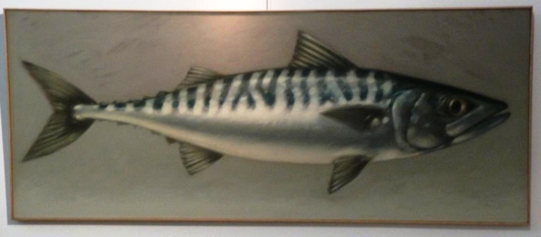 Daniel Jan Daniel Jan