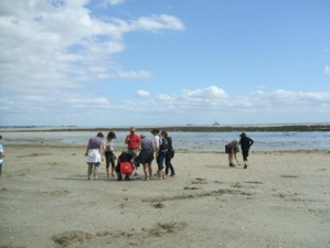 La Gazette du S.I.-O.T. de Saint Jean le Thomas" de 2007 à 2010 La Gazette du S.I.-O.T. de Saint Jean le Thomas" de 2007 à 2010