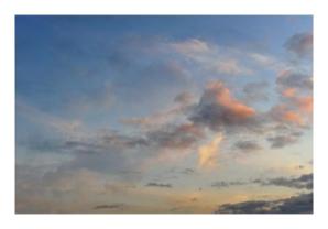 Hommage à L. Malle, "Un avant goût de Paradis" Hommage à L. Malle, "Un avant goût de Paradis"