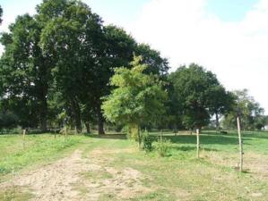 Hommage à L. Malle, "Un avant goût de Paradis" Hommage à L. Malle, "Un avant goût de Paradis"