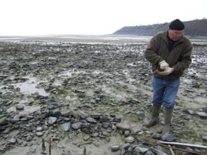 Les pêcheries néolithiques de Saint Jean le Thomas : regard d'artiste