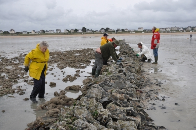  " La pêcherie des Grands Bras " à Jullouville