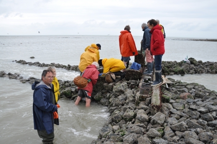 La porte est ouverte; l'eau quitte la pêcherie