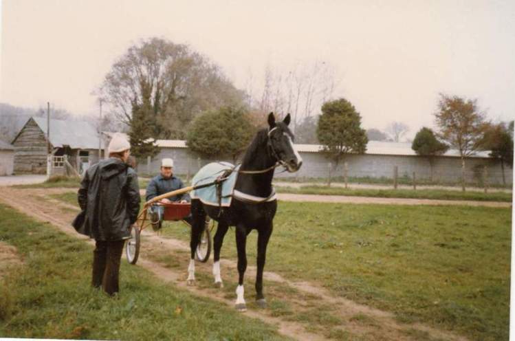 3 chaussettes blanches, une chaussette noire, voilà "Idéal du Gazeau" 3 chaussettes blanches, une chaussette noire, voilà "Idéal du Gazeau"