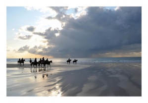 Photo : Bernard Poulain Photo : Bernard Poulain