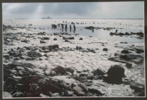 Restes des pêcheries néolithiques