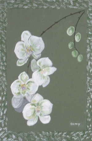 Maïté Camy Maïté Camy