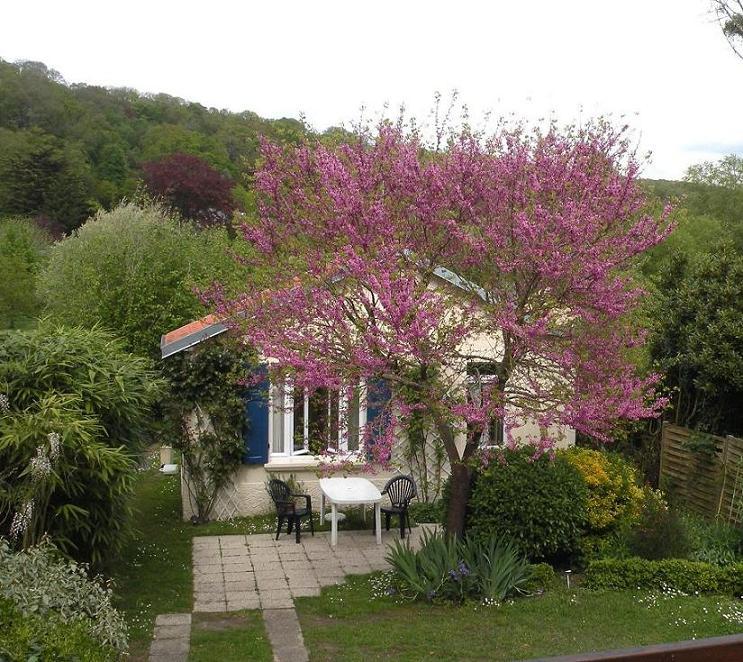 Les Bleuets, pavillon de charme 3 épis pour 2 personnes Les Bleuets, pavillon de charme 3 épis pour 2 personnes