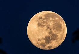 Un peu de poésie, musique et joie Un peu de poésie, musique et joie