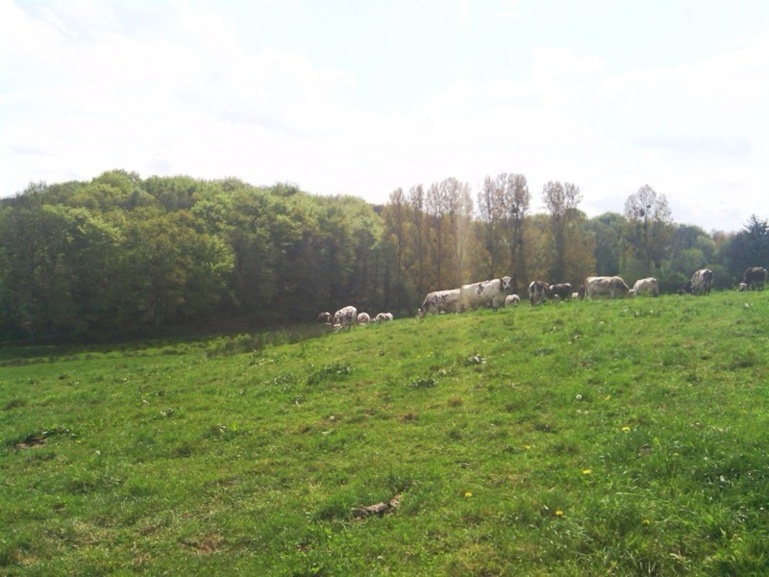 Une randonnée à Saint Michel des Loups