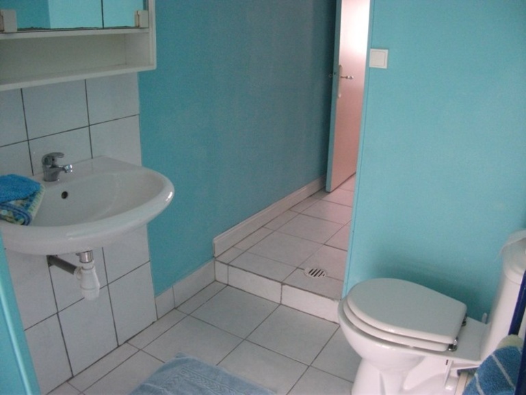 La salle d'eau avec douche La salle d'eau avec douche
