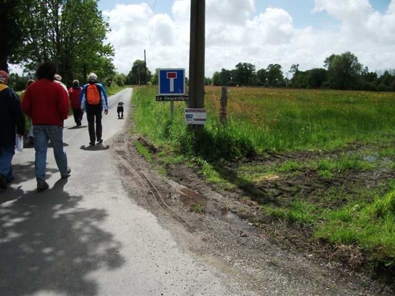 Randonnée aux alentours de Bacilly