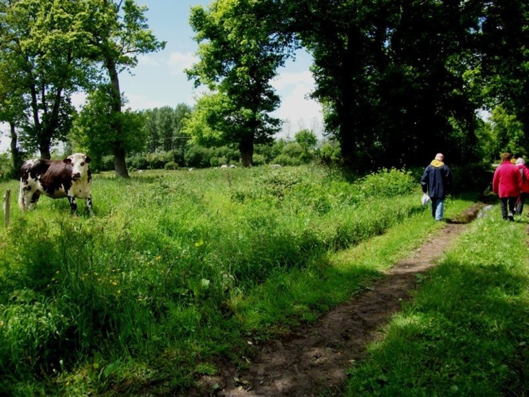 Randonnée aux alentours de Bacilly