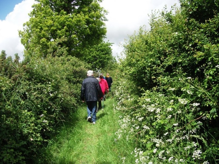 Le petit chemin Le petit chemin