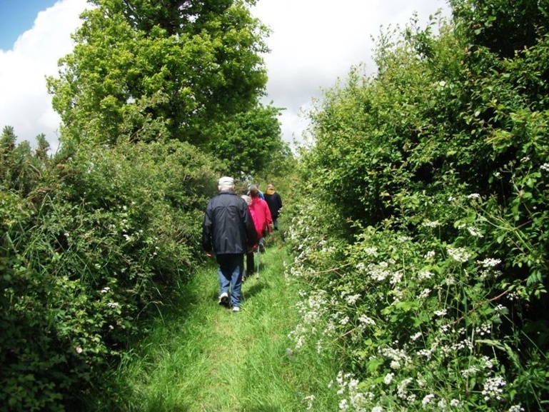 Le petit chemin