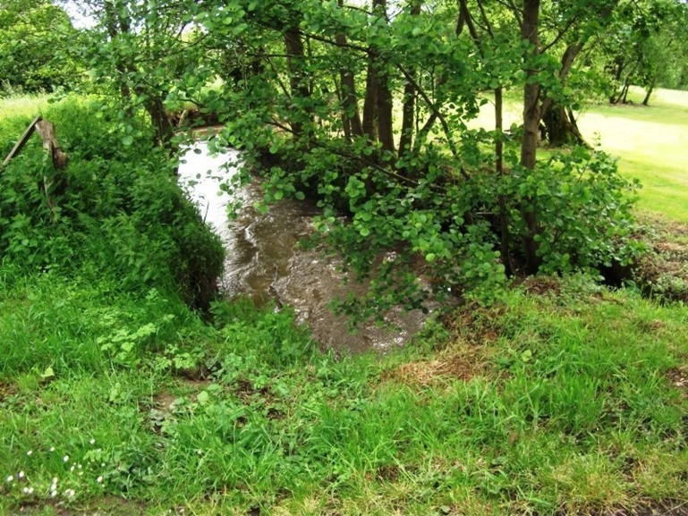 ici et là un ruisseau ici et là un ruisseau