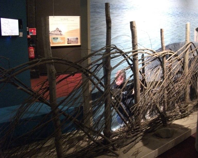 Reconstitution d'une pêcherie de bois : pieux verticaux et branchages souples Reconstitution d'une pêcherie de bois : pieux verticaux et branchages souples