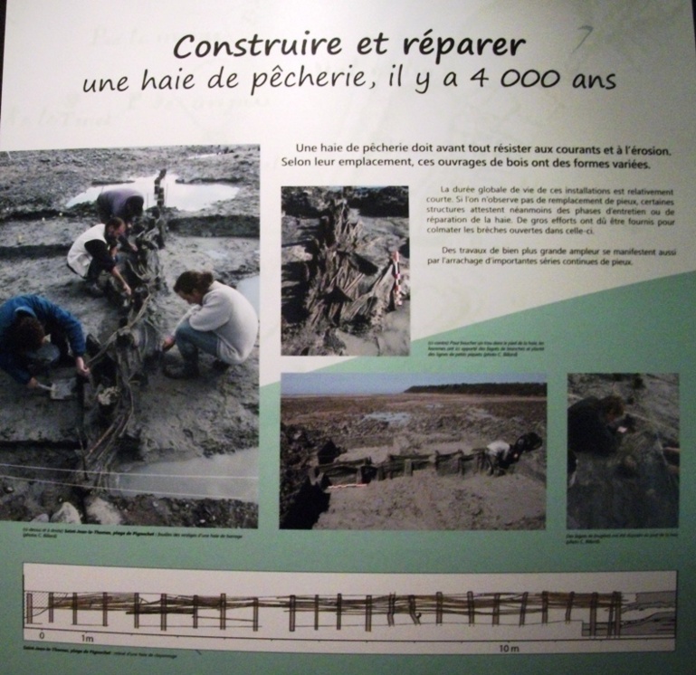 Expositions sur les pêcheries et les pêcheries néolithiques de Saint Jean le Thomas Expositions sur les pêcheries et les pêcheries néolithiques de Saint Jean le Thomas