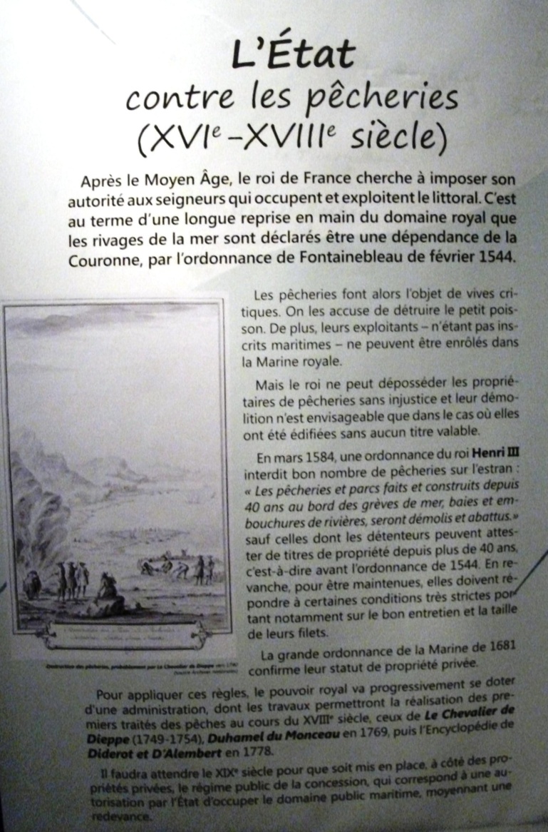 Expositions sur les pêcheries et les pêcheries néolithiques de Saint Jean le Thomas Expositions sur les pêcheries et les pêcheries néolithiques de Saint Jean le Thomas