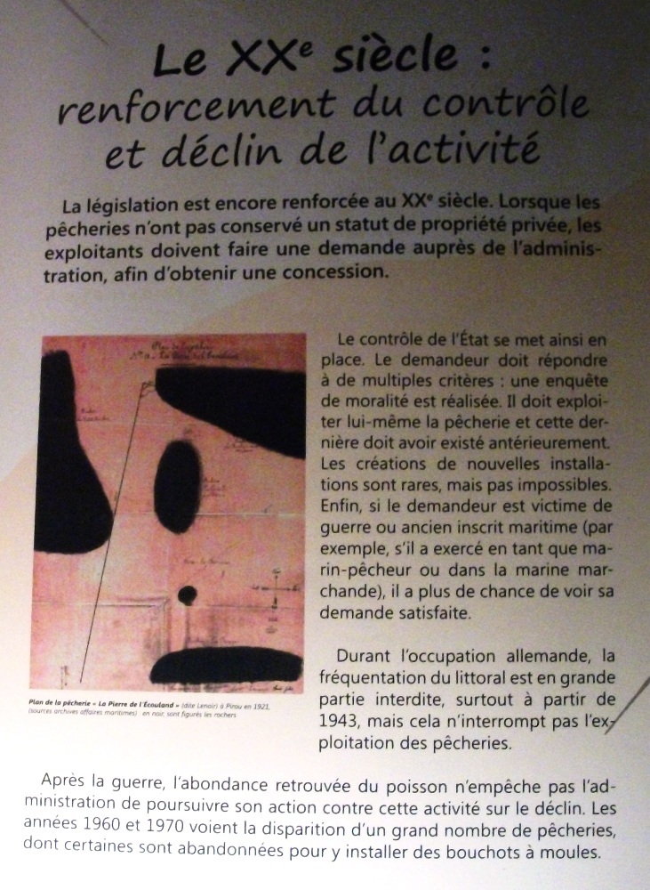 Le XXe siècle Le XXe siècle