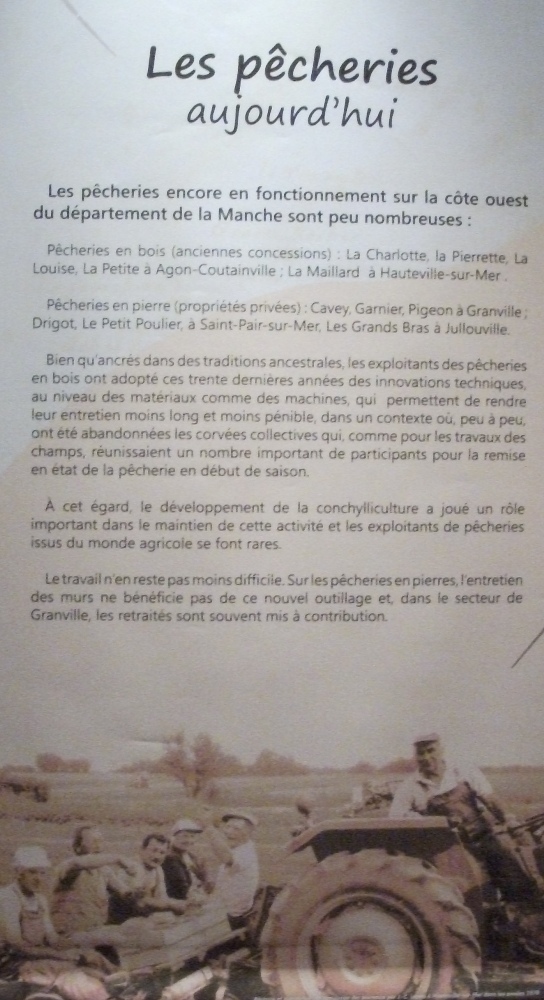 Expositions sur les pêcheries et les pêcheries néolithiques de Saint Jean le Thomas Expositions sur les pêcheries et les pêcheries néolithiques de Saint Jean le Thomas