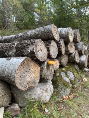 Hôtel à insectes Hôtel à insectes