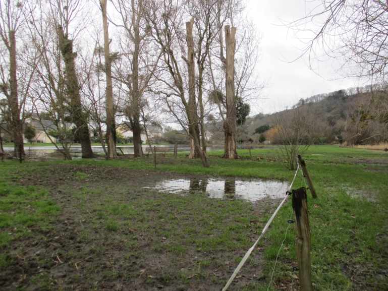 Découverte des arbres de la Bunelle Découverte des arbres de la Bunelle