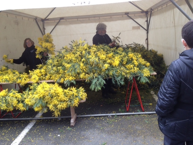 Fête du mimosa 2014 : souvenirs