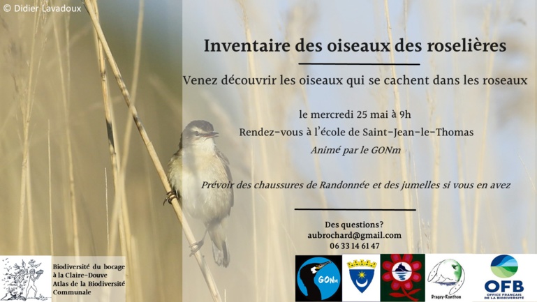 Le 25/5/2022, 9h. Découverte des oiseaux des roselières Le 25/5/2022, 9h. Découverte des oiseaux des roselières