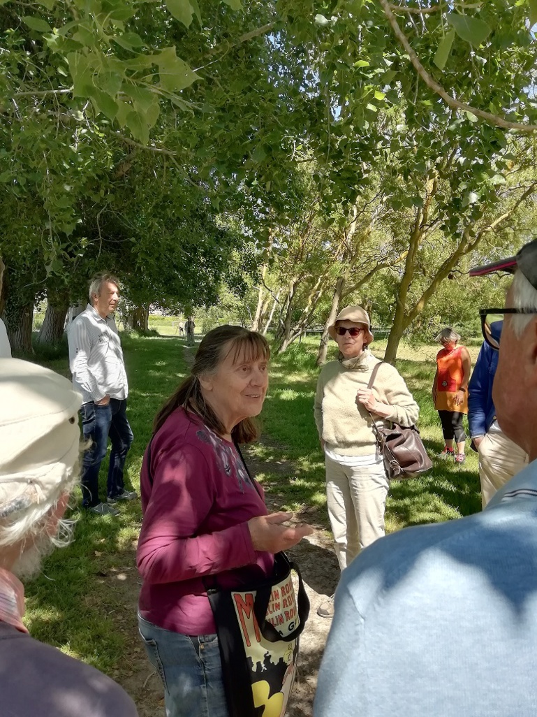 Compte rendu de l'Inventaire des arbres de la Bunelle Compte rendu de l'Inventaire des arbres de la Bunelle