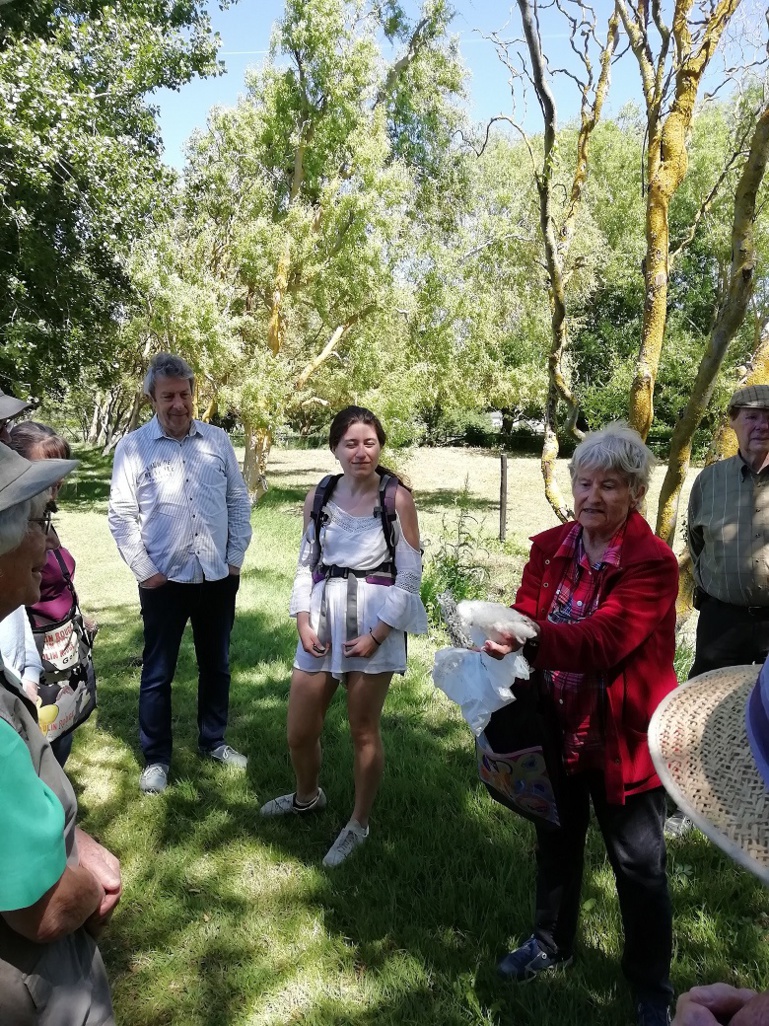 Compte rendu de l'Inventaire des arbres de la Bunelle