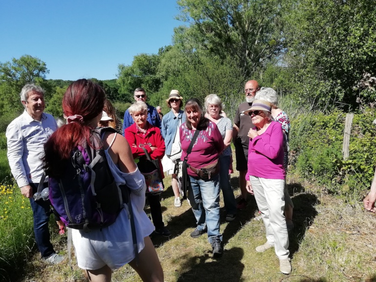 Compte rendu de l'Inventaire des arbres de la Bunelle Compte rendu de l'Inventaire des arbres de la Bunelle