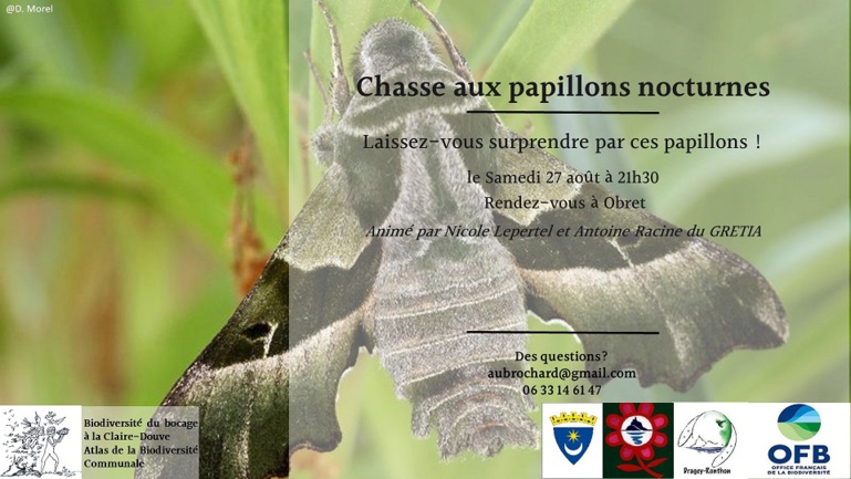 Le 27/8/2022, 21h30, découverte des papillons nocturnes Le 27/8/2022, 21h30, découverte des papillons nocturnes