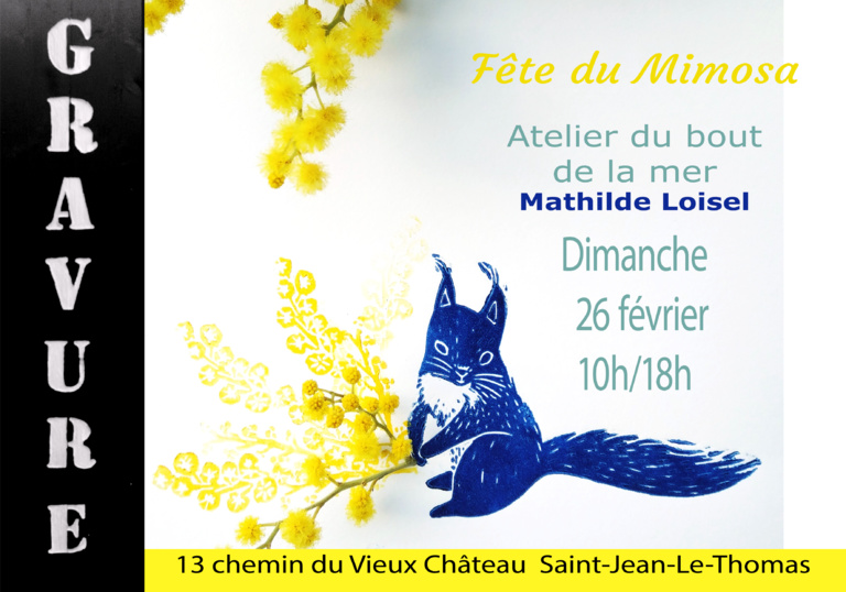 Le 19/2/2023, fête du mimosa à St Jean le Thomas