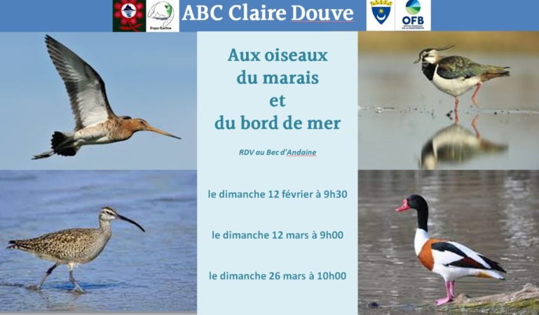 Les 12 et 26/3/2023, les oiseaux du marais et des bords de mer Les 12 et 26/3/2023, les oiseaux du marais et des bords de mer