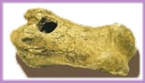 Conférence : "Du Sifflet à l'Internet - Voyage dans les communications" Conférence : "Du Sifflet à l'Internet - Voyage dans les communications"