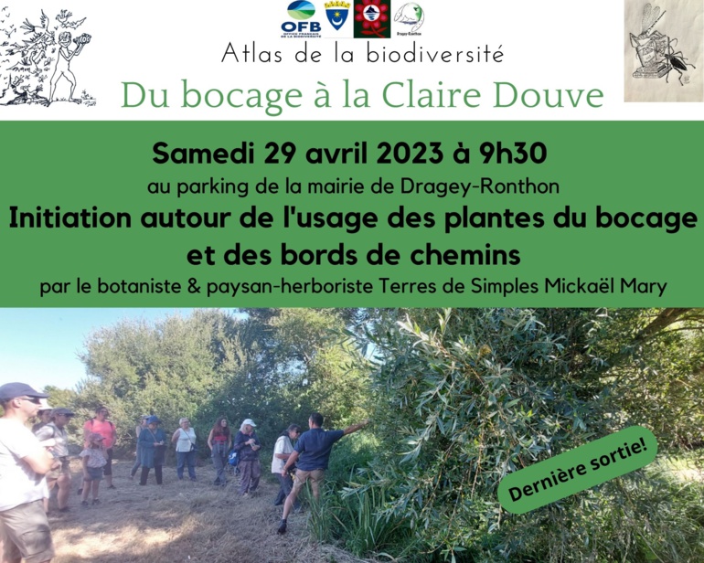 Le 29/4/2023, 9h30 à Dragey, usage des plantes sauvages Le 29/4/2023, 9h30 à Dragey, usage des plantes sauvages