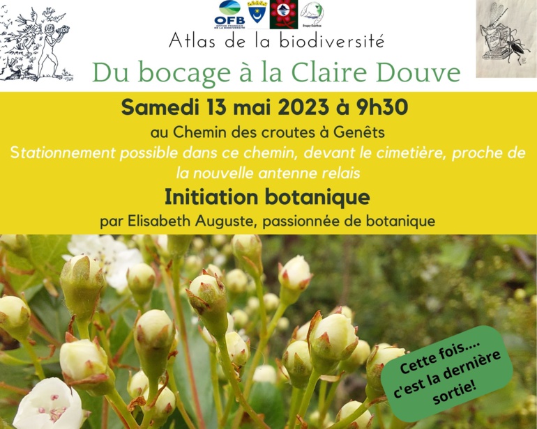 Le 13/5/2023, 9h30 à Genêts, la FLORE de chez nous Le 13/5/2023, 9h30 à Genêts, la FLORE de chez nous