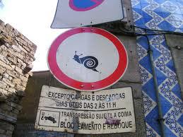 L'art au ras du sol ou les tribulations d'un escargot L'art au ras du sol ou les tribulations d'un escargot