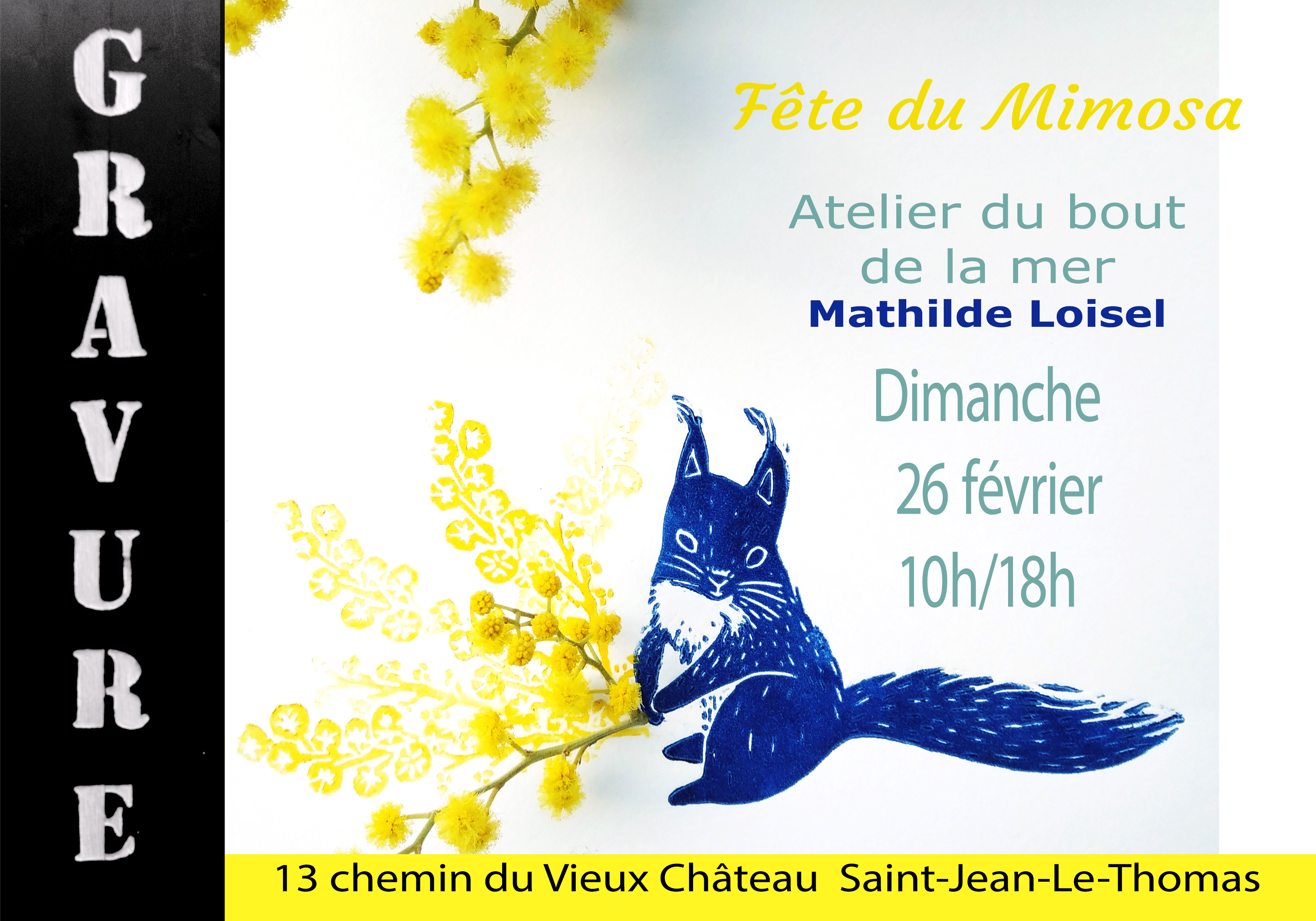 Le 19/2/2023, fête du mimosa à St Jean le Thomas Le 19/2/2023, fête du mimosa à St Jean le Thomas