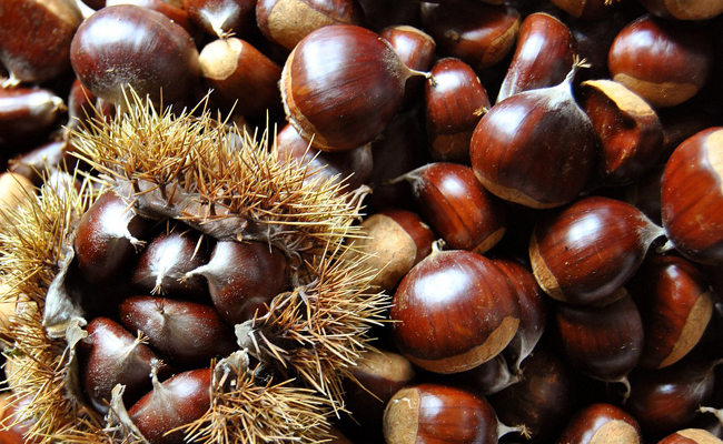 La fête d'automne à Saint Jean le Thomas La fête d'automne à Saint Jean le Thomas