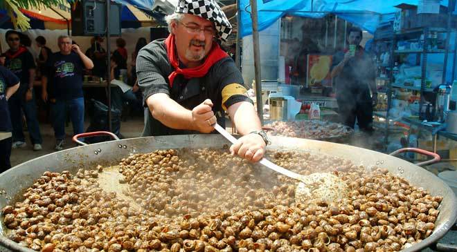 L'art au ras du sol ou les tribulations d'un escargot L'art au ras du sol ou les tribulations d'un escargot