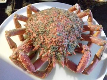 la moussette : jeune araignée de mer particulièrement délicieuse !