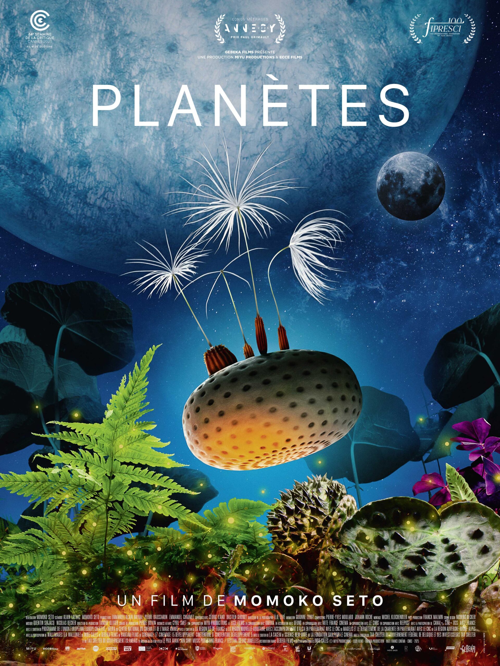 Le 25/4/2026, 17h, film à Carolles : PLANETES